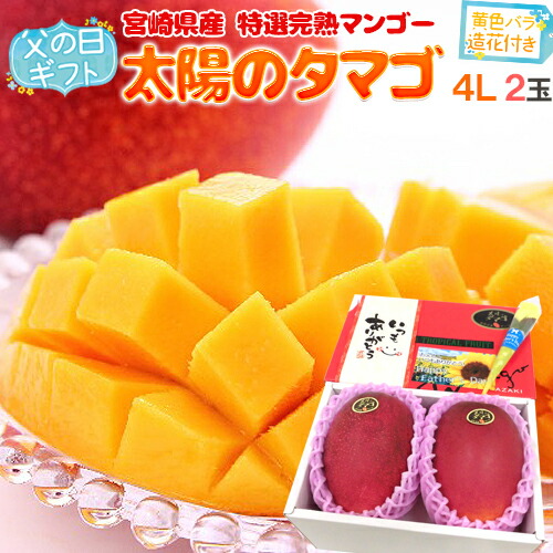 父の日ギフト ”太陽のタマゴ” 特大玉4L 2玉＋黄色バラ造花1本 産地化粧箱【予約 6月8～15日お届け予定】