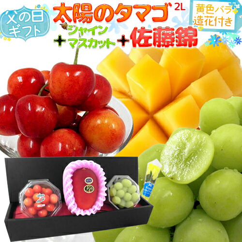 父の日ギフト ”佐藤錦＋シャインマスカット ダイヤpc＋太陽のタマゴ” 大玉2Lサイズ＋黄色バラ造花1本【予約 6月8～15日お届け予定】 送料無料