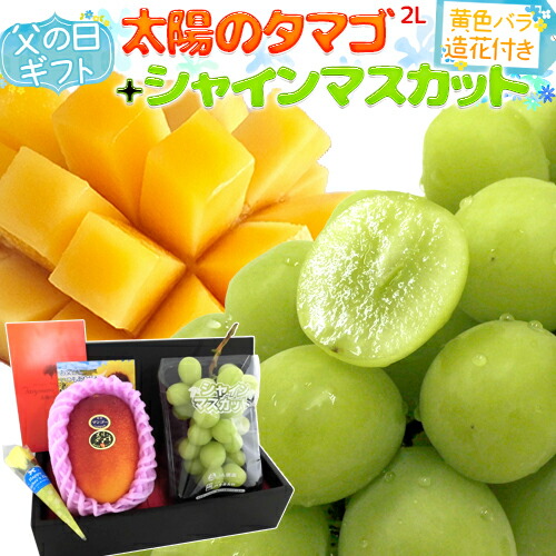 父の日ギフト ”シャインマスカット＋太陽のタマゴ” 1pc約350g＋大玉2Lサイズ350g以上＋黄色バラ造花1本【予約 6月8～15日お届け予定】 送料無料