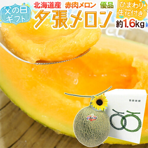 父の日ギフト ”夕張メロン” 共撰優品 1玉 約1.6kg＋ひまわり生花1本【予約 6月14～21日お届け予定】 送料無料