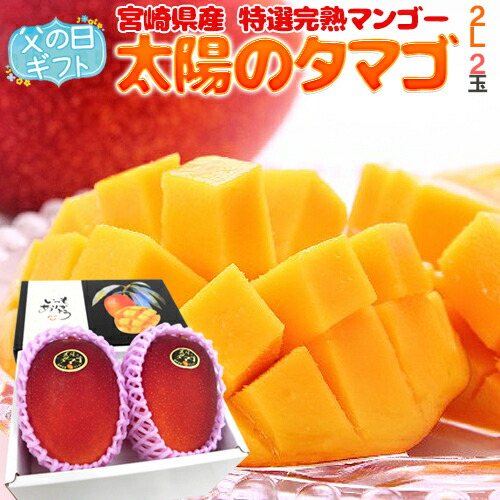 父の日ギフト ”太陽のタマゴ” 大玉2Lサイズ 2玉 化粧箱 【予約 6月8～15日お届け予定】 送料無料