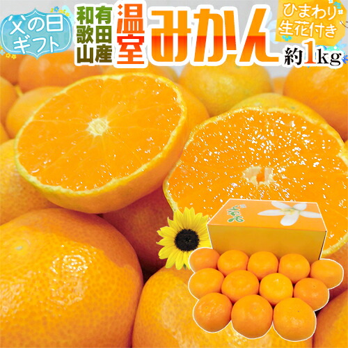 父の日ギフト ”有田 温室みかん” 秀品 12玉前後 約1kg＋ひまわり生花1本【予約 6月14～21日お届け予定】 送料無料