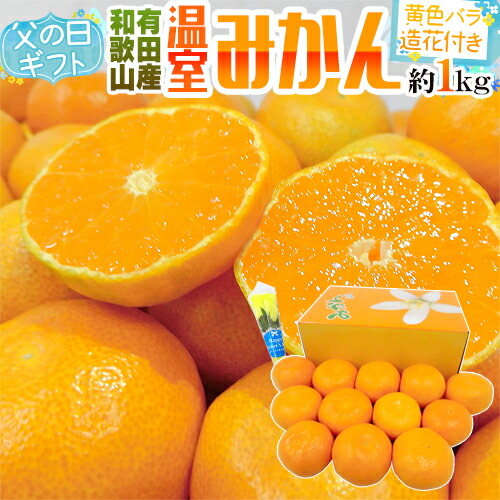 楽天市場】父の日ギフト ”有田 温室みかん” 秀品 12玉前後 約