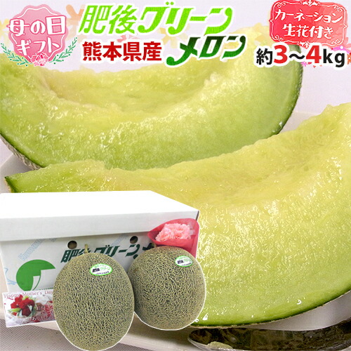 母の日ギフト ”肥後グリーンメロン” カーネーション生花付き 秀/優品 2玉 約3～4kg（1玉約1.5～2kg）【予約 5月2日～5月10日お届け予定】 送料無料