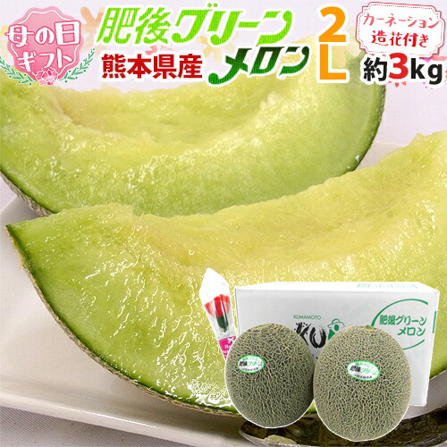 母の日ギフト ”肥後グリーンメロン” カーネーション造花 秀/優品 2L 2玉 約3kg以上（1玉約1.5kg～）【予約 5月2日～5月10日お届け予定】 送料無料