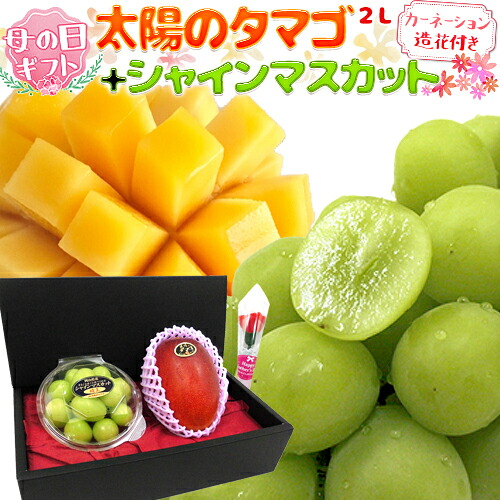母の日ギフト 宮崎マンゴー ”太陽のタマゴ2L”・シャインマスカット ダイヤpc カーネーション造花 化粧箱【予約 5月2日～5月10日お届け予定】 送料無料