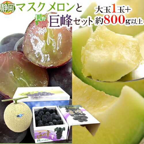 ”静岡マスクメロン＋巨峰セット” 等級白以上 大玉1玉 約1.7～2kg ＋ 2～3房前後 約800g～1kg【予約 6月以降】 送料無料