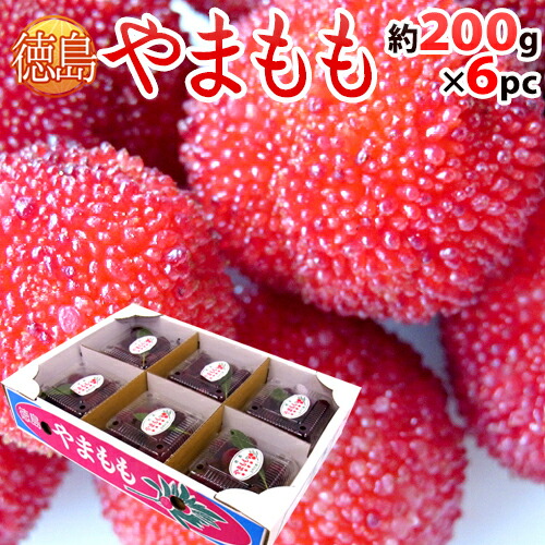 徳島県 ”やまもも” 約200g×6pc（合計約1.2kg）【予約 6月中下旬以降】 送料無料