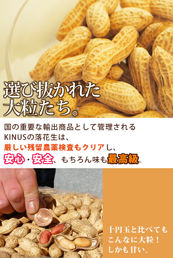 中国産大粒 落花生 真空パック