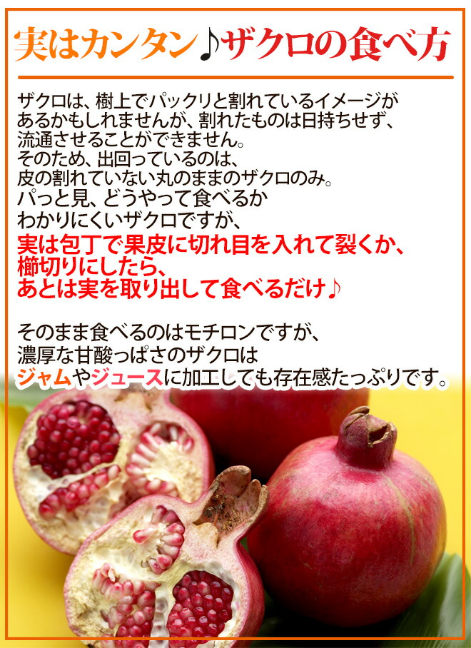 965円 【年間ランキング6年連続受賞】 ペコリーノ ロマーノ 100％ パウダーチーズ 1kg セルロース不使用 無添加