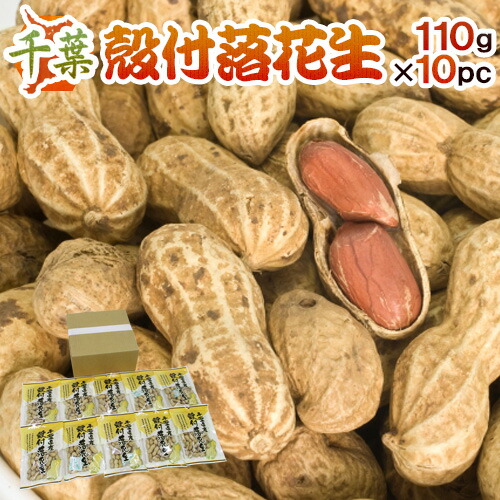 千葉産 ”殻付落花生” 110g×10袋 国産 ピーナッツ【予約 入荷次第発送】 送料無料
