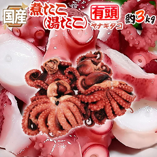 国産 ”煮たこ(湯たこ) ヤナギダコ” 約3kg 大きさおまかせ【予約 入荷次第発送】 送料無料