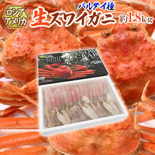 ロシア・アメリカ産 冷凍 ”生ズワイガニ バルダイ種 ハーフポーション” 約1.8kg 化粧箱入り ズワイ蟹 半むき身 送料無料