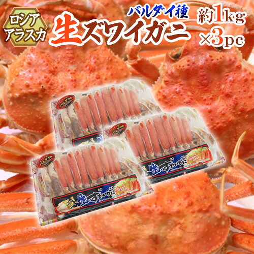 ロシア・アラスカ産 バルダイ種 冷凍 ”生ズワイガニ” ハーフポーション 約1kg×3pc（約3kg） 半剥き身/ハーフポーション/pc 送料無料