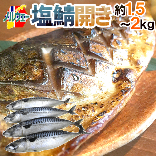 鯖 144-ssaba-sh2kg09.jpg