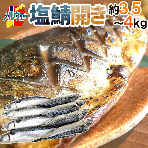 ノルウェー ”塩鯖開き” 8～10尾前後 約3.5～4kg 背開き 塩サバ 送料無料