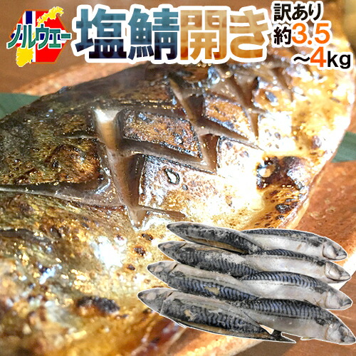楽天市場】ノルウェー ”塩鯖開き” 訳あり 4〜5尾前後 約1.5〜2kg