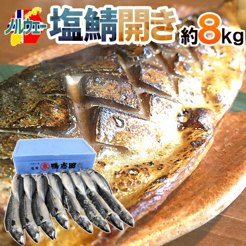 ノルウェー ”塩鯖開き” 16～20尾前後 約8kg 背開き 塩サバ 送料無料