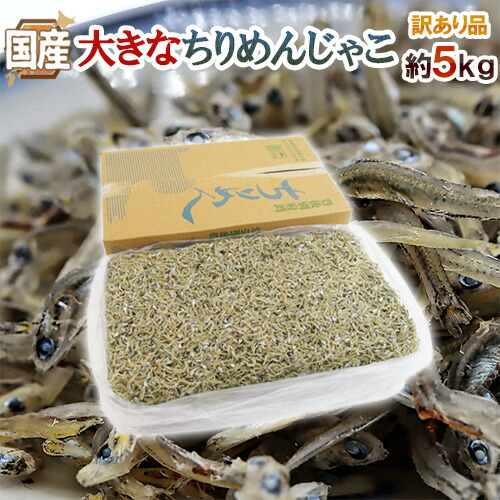 国産 ”大きなちりめんじゃこ” 訳あり 約5kg かえりちりめん 送料無料|くらし快援隊~母の日父の日お中元
