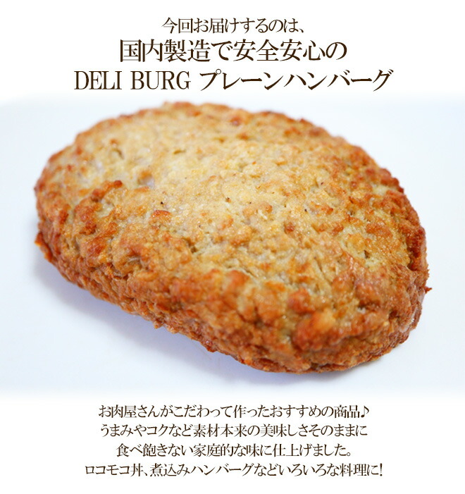 国内製造 ふっくらやわらかハンバーグ