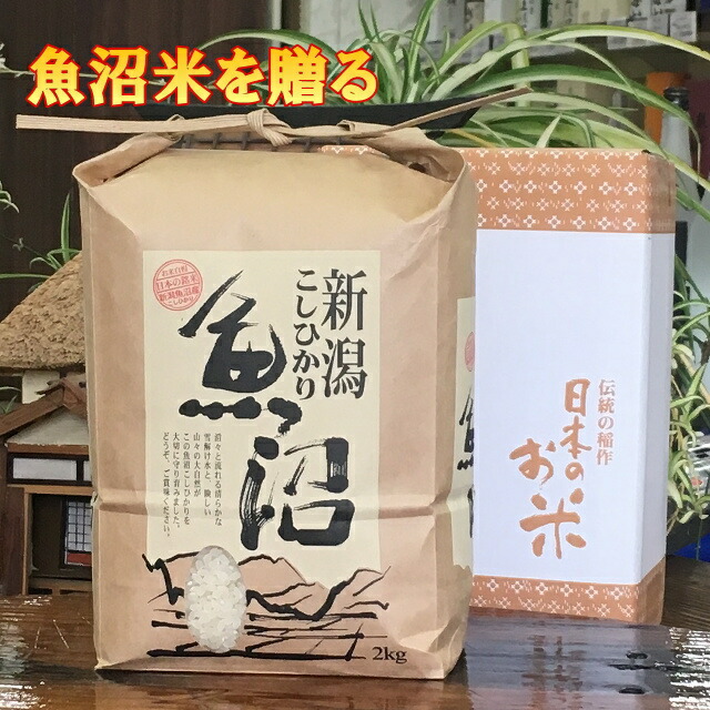 楽天市場】玄米 30kg 魚沼産コシヒカリ 特別栽培米 新米 令和6年 楽天市場】玄米 30kg 魚沼産コシヒカリ 特別栽培米 新米 令和6年