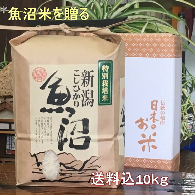 【楽天市場】米 2kg 魚沼産コシヒカリ 新潟【特選米】特a 一等米 令