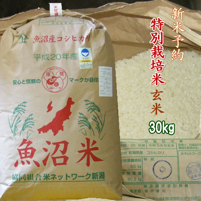 新米 令和6年 玄米 30kg 魚沼産コシヒカリ 【特別栽培米】