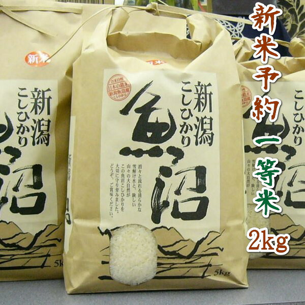 新潟県魚沼産こしひかり 10kg(５kg×２袋) 新潟県魚沼産コシヒカリ10kg(5kg×2袋)