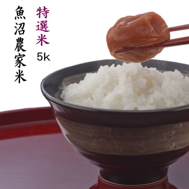 令和6年度　魚沼産コシヒカリ 白米10kg 1等米　殺虫剤不使用　殺菌剤不使用 楽天市場】予約 10kg 魚沼産コシヒカリ 令和7年 新潟 一等米