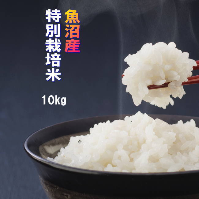令和7年産・新米先行予約】新潟妙高産特別栽培米コシヒカリ 玄米