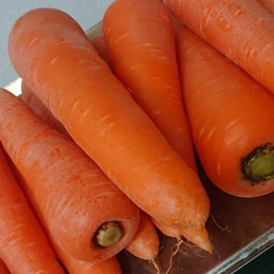 【3/下旬出荷】雪下人参 ゆきしたにんじん 10kg 新潟産 送料込み 食味全国1位（取り立て要予約）