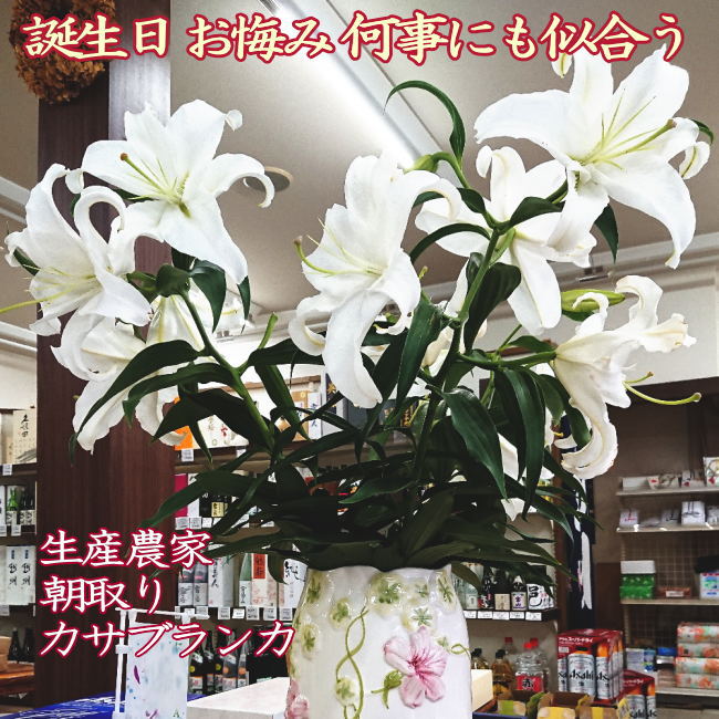 楽天市場 誕生日 カサブランカ 花束 本 送料込 遠方加算有 生産農家 朝採り 切り花 4 7 8輪 規格外6 11月販売 里山からの贈り物