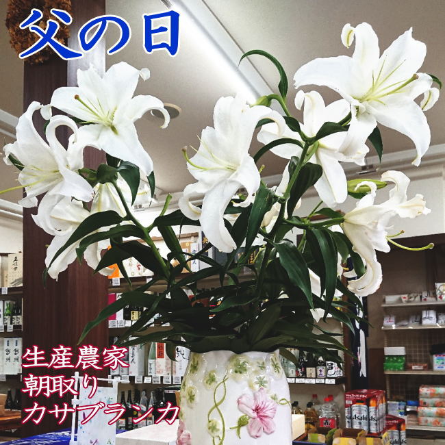 誕生日 プレゼント お祝い 御見舞い 仏事 自分用 万事合う気品ある純白の 花 カサブランカ 花束 5本x2 カサブランカ 花 10本 5本 花束ｘ2 誕生日 お祝 仏事 送料込 生産 農家 朝採り 切り花 4 7 8輪 規格外7 11月販売