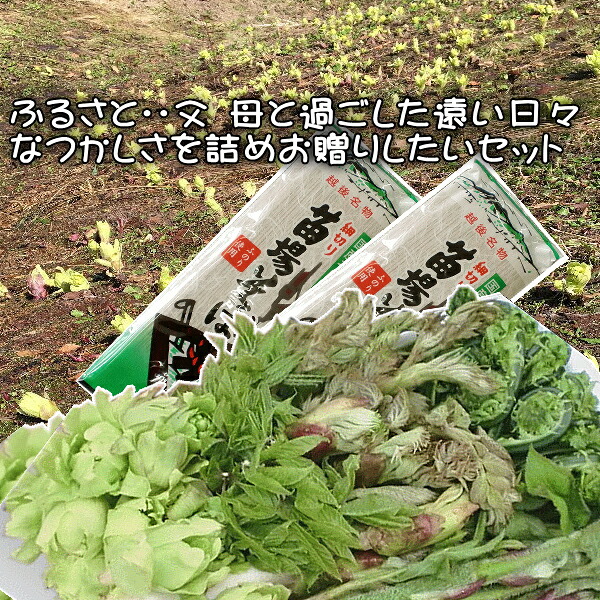 母の日 プレゼント【満足させますセット】送料込 母に感謝 おいしいお蕎麦 山菜天ぷら【お任せ た～っぷり6～7人前】山菜 天ぷら蕎麦 レシピ用