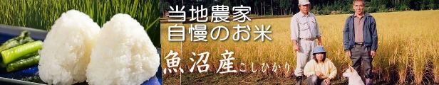 楽天市場】八海山酒粕 300gｘ3個 新潟 八海山酒粕 ペースト 3個入【日本全国 送料込】スーパーセール : 里山からの贈り物