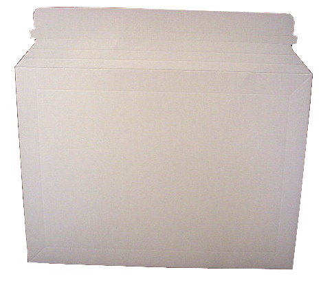楽天市場】縦型厚紙封筒 ライトンA4×100枚 パック 送料無料 : 梱包資材