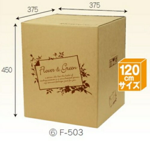 フラワーBOX F503&times;30枚 パック 宅配120サイズ 一部除き送料無料｜梱包資材の店ＬＡＬＡＣＨＹＡＮ