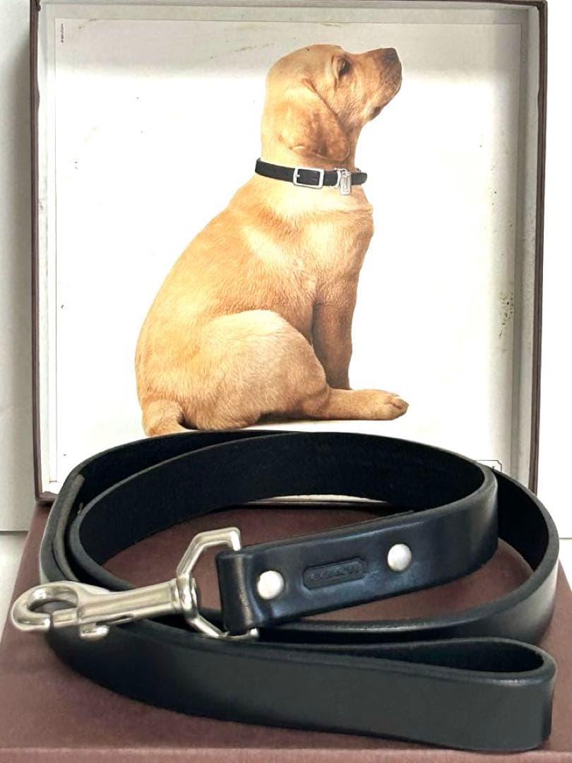 楽天市場】【ｸｰﾎﾟﾝ5%OFF】プラダ／PRADA 