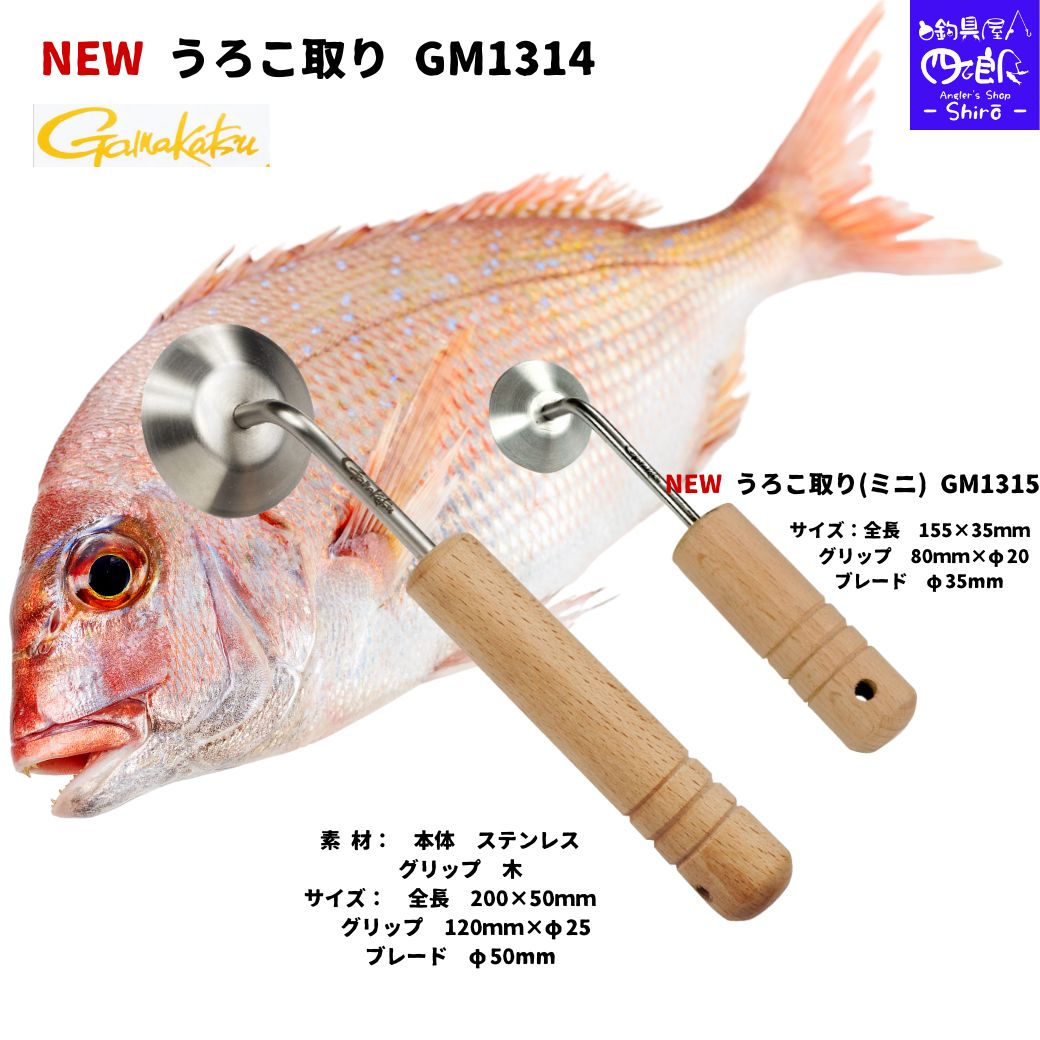 膝周波数帯域 膝愛読者 か細いひざ愛読者 グノー GOUNOD 膝