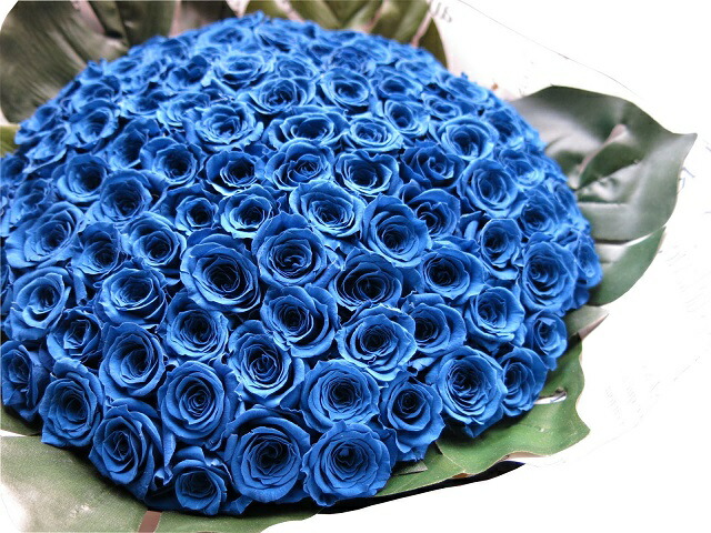青薔薇 100本 胸花 枯れない プリザーブドフラワー ミニ青薔薇 胸花 青薔薇100本当て嵌める プリザーブドフラワー 胸花 枯れずにいつまでもキレイな青薔薇 言い入れる 意中の女