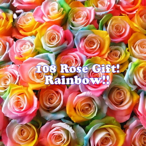 メール便不可 バラ プロポーズ 108本 花束 108本 プリザーブドフラワー レインボーローズ 枯れない 108本 バラ プリザーブドフラワー使用 レインボーローズ 花束 プロポーズ 枯れない レインボーローズ 花束 プリザーブドフラワー Www Solidarite Numerique Fr