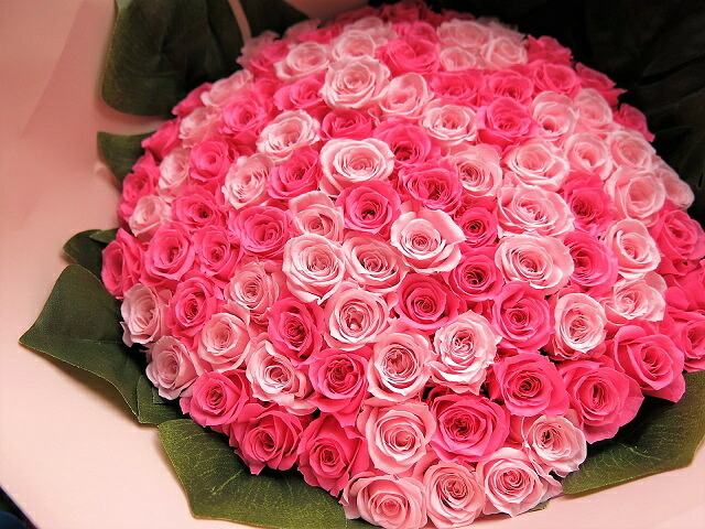 サクラ色薔薇 100本 胸花 枯れない プリザーブドフラワー 入り合わせる2色 サクラ色薔薇 胸花 ミニ薔薇100本当てはめる プリザーブドフラワー 胸花 枯れずにいつまでもキレイな薔薇