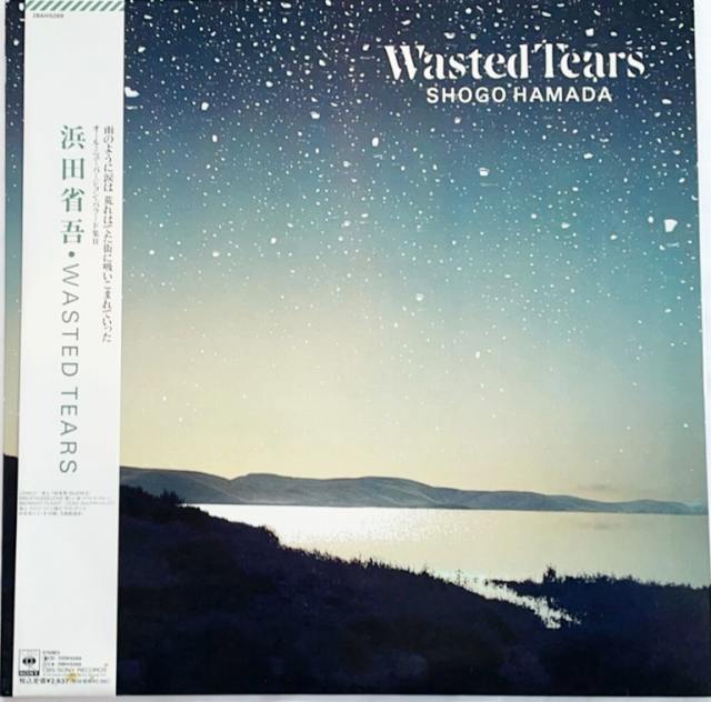 中古レコード　浜田省吾　Wasted Tears オールニューバージョンバラード集2　12インチアルバム　LP　盤良好　帯　歌詞付　20260224｜リトルタフ