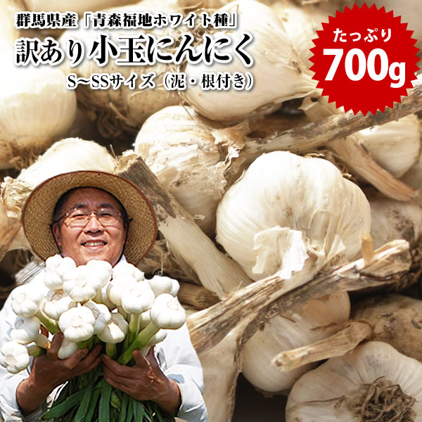 楽天市場】にんにく 送料無料 令和4年 新物 訳あり お試し 青森県産 or 群馬県産「青森福地ホワイト6片種」 にんにく （バラ） 約500g（約40 〜65粒入り）※メール便にて出荷開始させていただきます。 ニンニク 国産 福地ホワイト六片 : ロハス食品