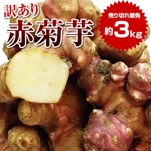 楽天市場】キクイモ 種芋 300g 土付き 植え付け約8〜10株分 煮物
