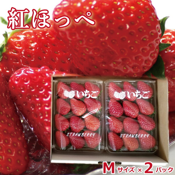 楽天市場 いちご ギフト 山梨県産 紅ほっぺ イチゴ 苺 ｍサイズ 2パック ご自宅用 新鮮 朝採れ 摘みたて発送 予約販売 産地直送 Luire