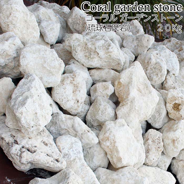コーラル ガーデンストーン 琉球石灰岩 kg 100 0mm 雑貨 石 ナチュラルストーン おしゃれ きれい 沖縄 ガーデニング ホワイト 観葉 植物 庭 庭園 園芸 エクステリア 店舗 カフェ 改装 リフォーム Sto 0240 高評価なギフト