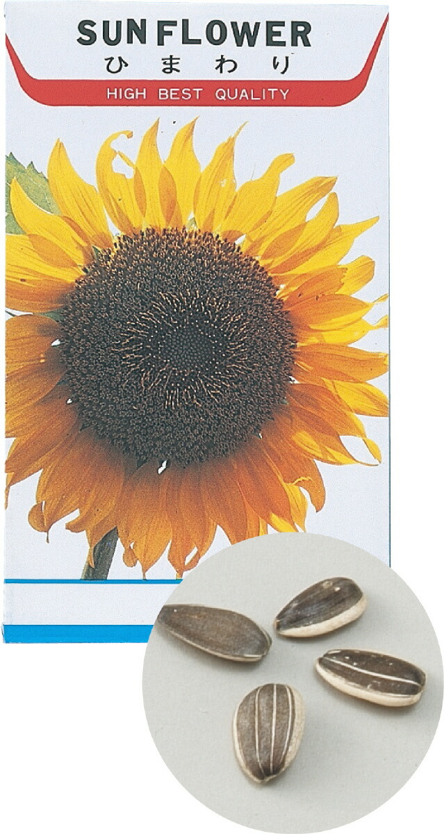 ひまわりページです(^-^) ひまわり・F1サンセットリッチ| 種・苗・ガーデニング用品の