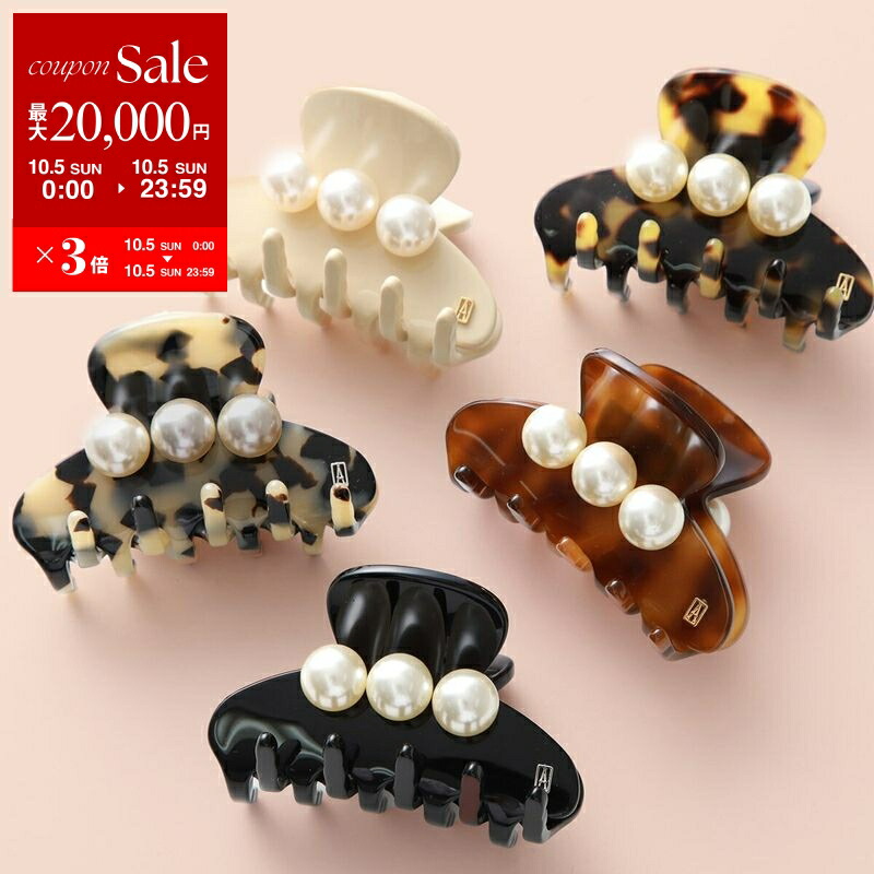 【美品】アレクサンドルドゥパリ S ヘアクリップ　人気のブラック 完売品 S クリップ｜ALEXANDRE DE PARIS（アレクサンドル ドゥ パリ）