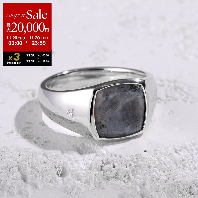 楽天市場】【ブラックフライデー・11/26-23:59迄10％OFFクーポン